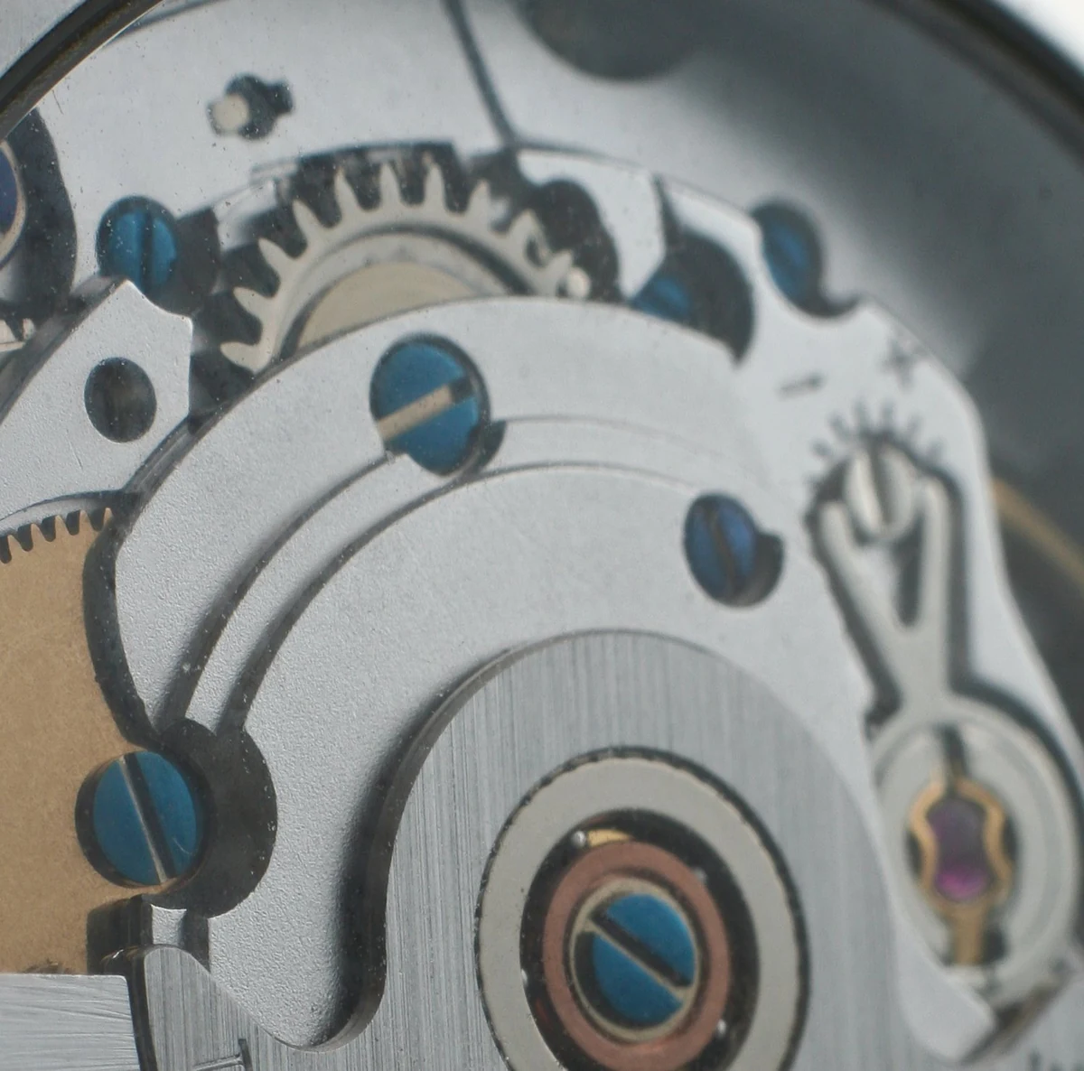 Close detail of a mechanical watch movement, showing brushed bridges, blue screws, gears and a jewel setting